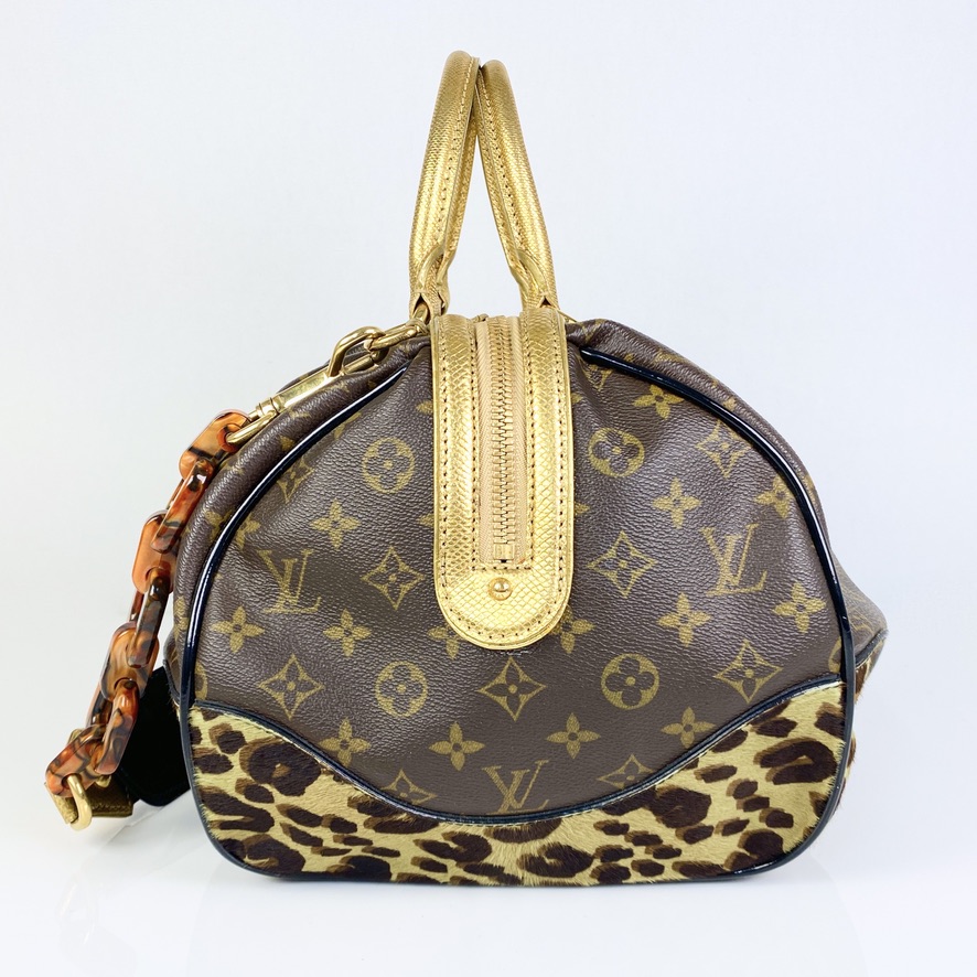 Louis Vuitton, Bags, Louis Vuitton Special Edition Stephen Leopard Gm